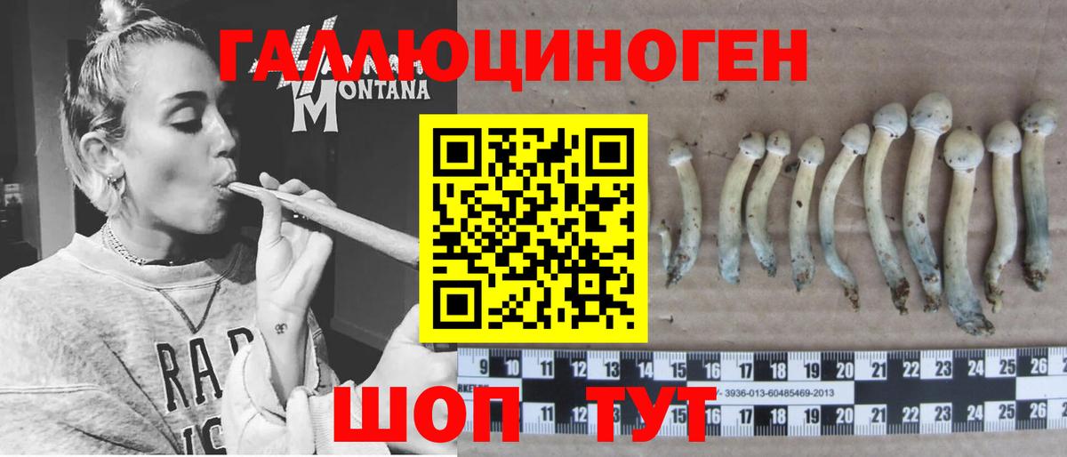 Галлюциногенные грибы Cubensis  Вход с VPN  Бутурлиновка 