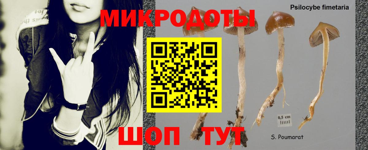 Галлюциногенные грибы Cubensis Бутурлиновка